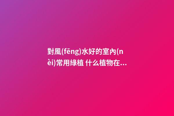 對風(fēng)水好的室內(nèi)常用綠植 什么植物在室內(nèi)生長很好